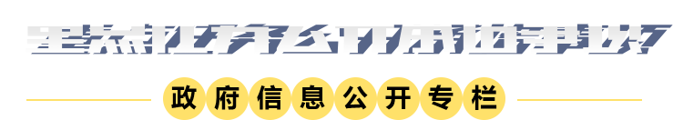 重點(diǎn)任務(wù)公開承諾事項(xiàng)圖標(biāo)